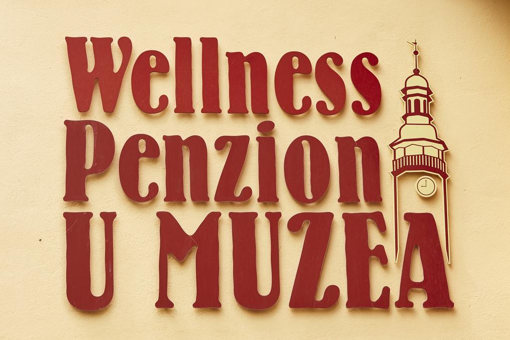 Wellness Penzion U Muzea Liberec Kültér fotó